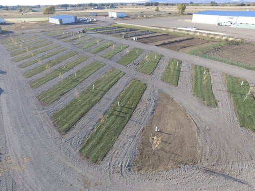 Why Book Your Stay at Sugar City RV Park?