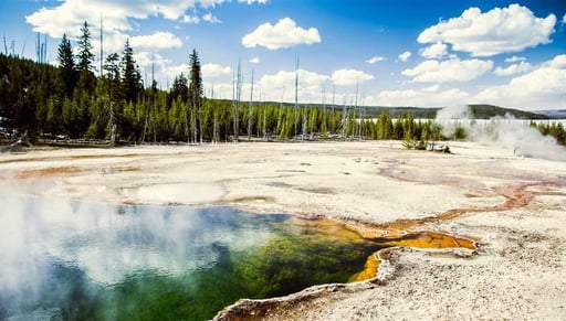 Visit Yellowstone