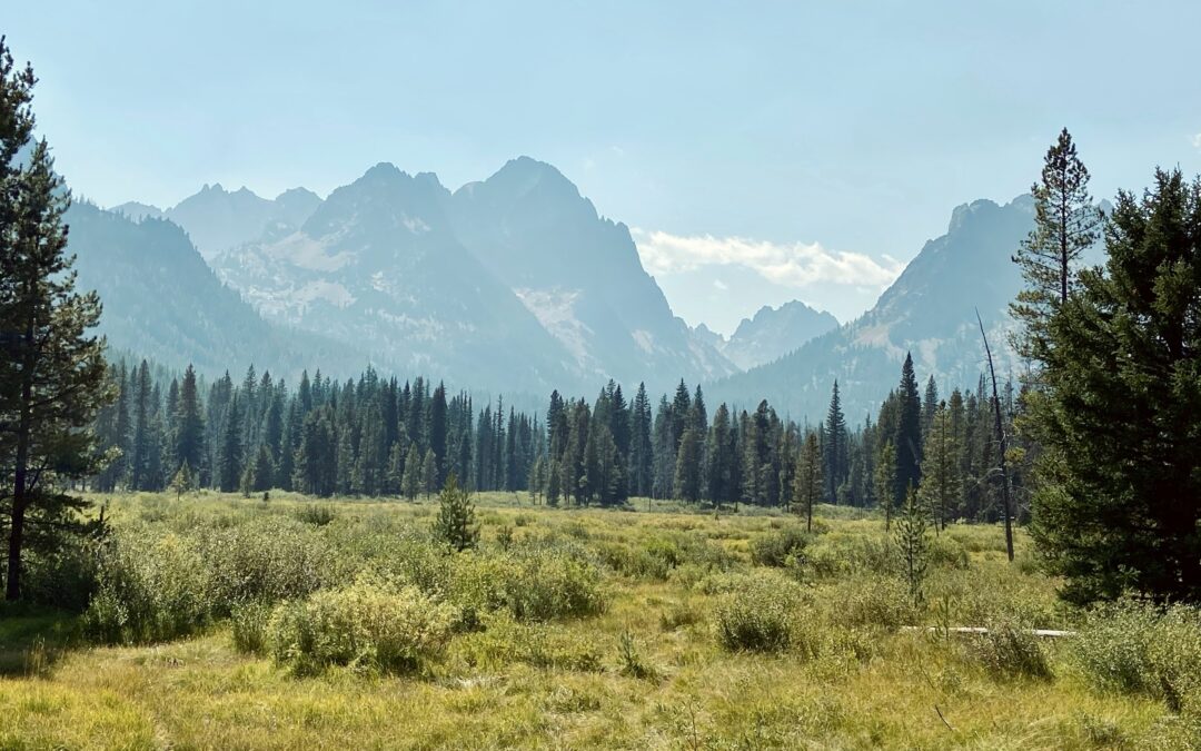 Best RV Parks in Idaho: Why Travelers Choose Sugar City RV Park